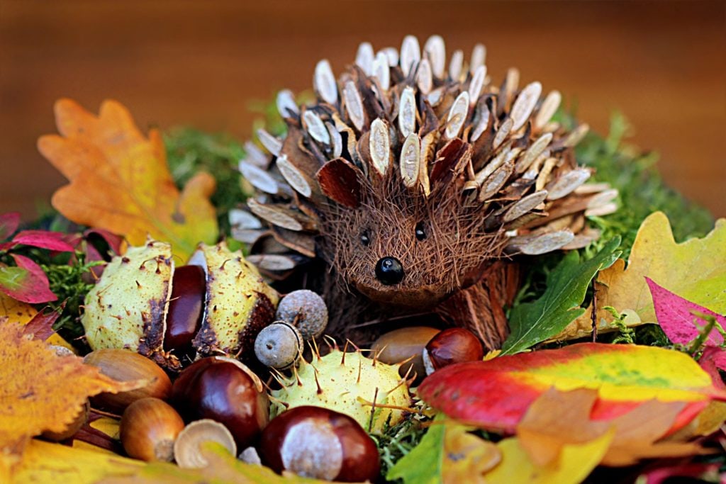 Herbst entdecken - mit Naturmaterialien basteln