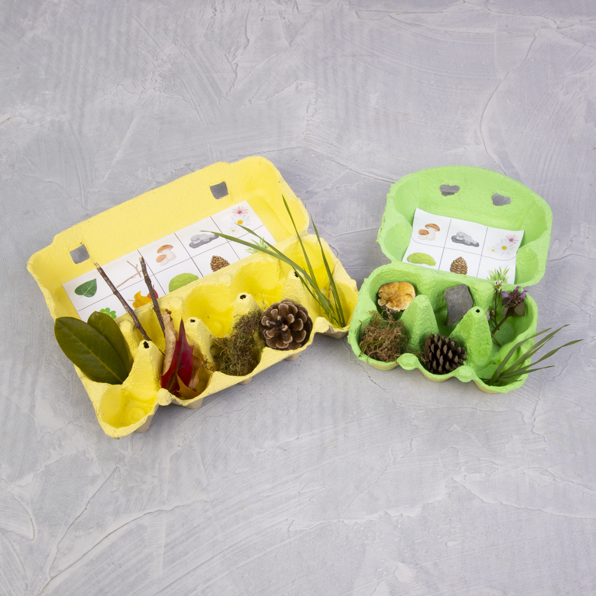 spielzeug natur Natur-Bingo: Spielerisch den Frühling entdecken! - ROFU Family Blog