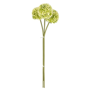 Allium - ca. 46 cm - grün