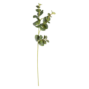 Eukalyptuszweig - ca. 64 cm