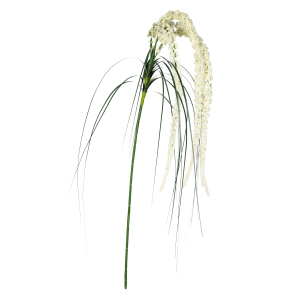 Amaranthuszweig - ca. 70 cm