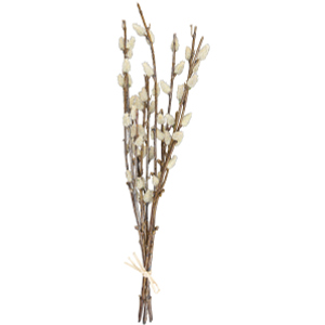 Weidenkätzchen - ca. 42 cm