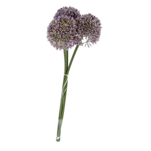 Allium - ca. 46 cm - lila