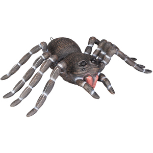 Spinne - 30 cm