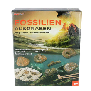 Fossilien ausgraben