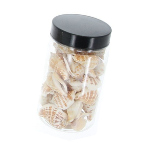 Streudeko - Muscheln - creme/braun - ca. 200 g