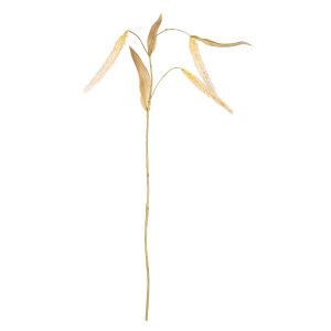 Fruchtstand - ca. 80 cm