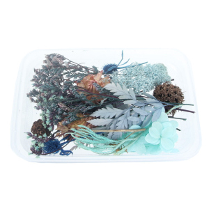 Streudeko - Trockenblumen - blau