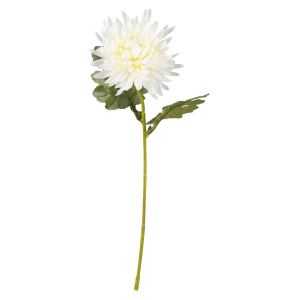 Chrysantheme - ca. 45 cm - creme