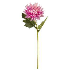 Chrysantheme - ca. 45 cm - rosé