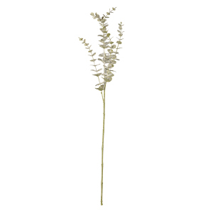 Eukalyptuszweig - ca. 73 cm