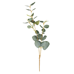 Eukalyptus - ca. 48 cm - grün