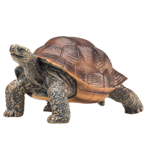 Besttoy - Riesenschildkröte - Spielfigur