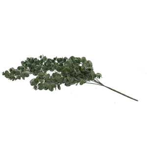 Eukalyptuszweig - ca. 78 cm