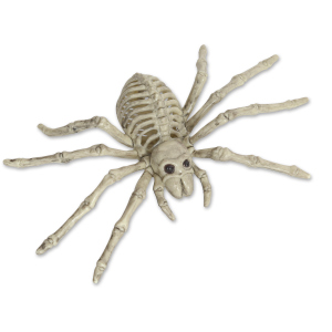 Deko-Skelett - Spinne - ca. 24 cm