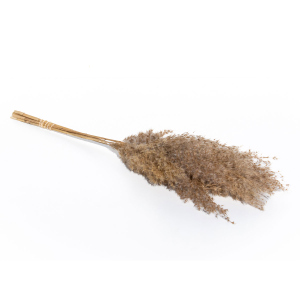 Dekogras - ca. 75 cm - braun