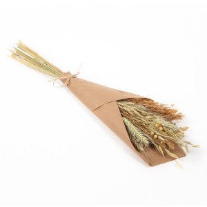 Dekostrauß - ca. 75 g - Natur