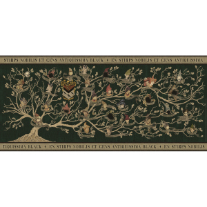 Harry Potter - Puzzle - Familienstammbaum - 2000 Teile 
