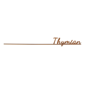 Gewürzstecker Thymian - aus Metall - ca. 30 x 3 cm