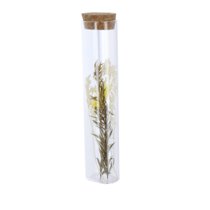 Reagenzglas mit Trockenblumen - aus Glas - ca. 3,5 x 16 cm