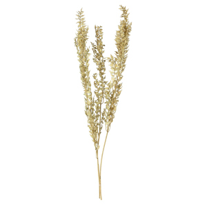 Ruscus - grün - ca. 70 cm