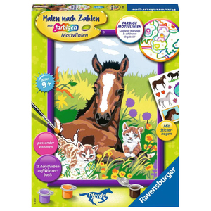 Malen nach Zahlen - Süße Tierkinder