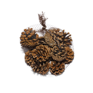 Kiefernzapfen - natur - 200g im Netz - ca. 5 - 7 cm