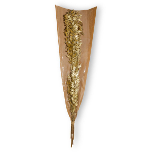Kunstblumen - Ruscus - gold - 2 Zweige - ca. 70 cm