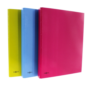 Ringbuch A4 - 2-Bügel-Mechanik - 1 Stück