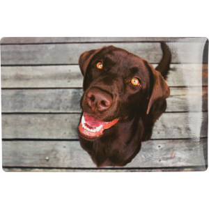 Hundezubehör - Napfunterlage - ca. 44 x 28 cm