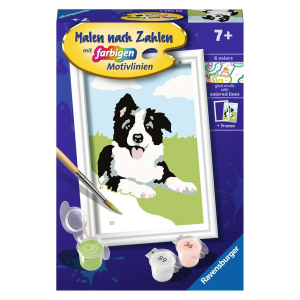 Malen nach Zahlen - Border Collie Welpe