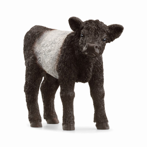 schleich® - FARM WORLD - Spielfigur - Galloway Kalb - 13969