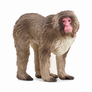 schleich® - WILD LIFE - Japanmakak - 14871