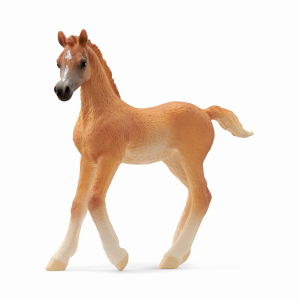 schleich® - HORSE CLUB - Araber Fohlen - 13984