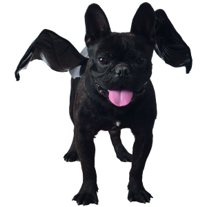 Hundekostüm - Fledermaus - ca. 42 cm