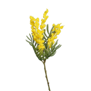 Mimosen Zweig - aus Kunststoff - ca. 39 cm - gelb/grün