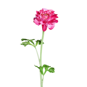 Kunstblume - Ranunkel - ca. 45 cm - pink