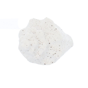 Muschel weiß - ca. 9 x 6,5 x 5 cm