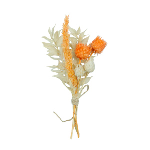 Trockenblumenstrauß - Tiny - ca. 15 cm - orange/beige 