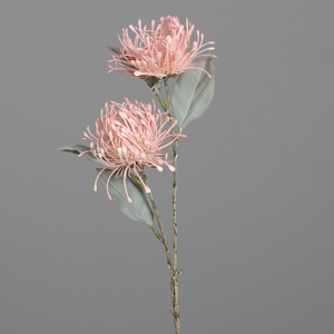Kunstblume - Protea - ca. 65 cm 