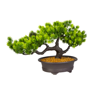 Bonsai im Topf mit Steinen - 1 Stück