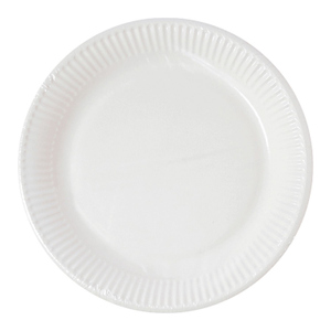 10 Pappteller - weiß - Ø ca. 23 cm