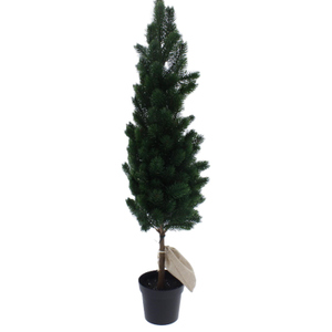Weihnachtsbaum im Topf mit Licht - ca. 80 cm