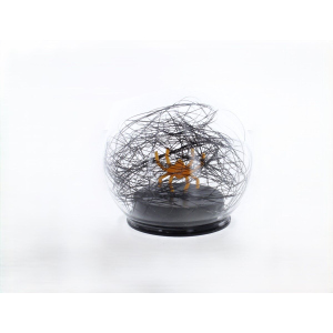 LED Kugel mit Spinne - aus Glas- ca. 10x9 cm