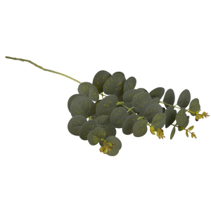 Eukalyptuszweig - ca. 64 cm - grün