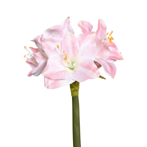 Kunstblume - Amaryllis - rosa