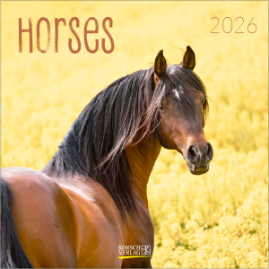 Wandkalender - Horses - Pferde - 2026