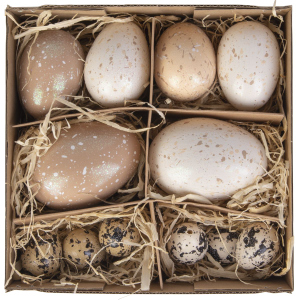 12 Ostereier - Naturfarben - gesprenkelt