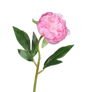 Pfingstrose - rosa - Kunstblume