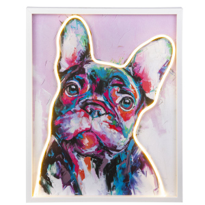 LED Canvasbild - Bulldogge
